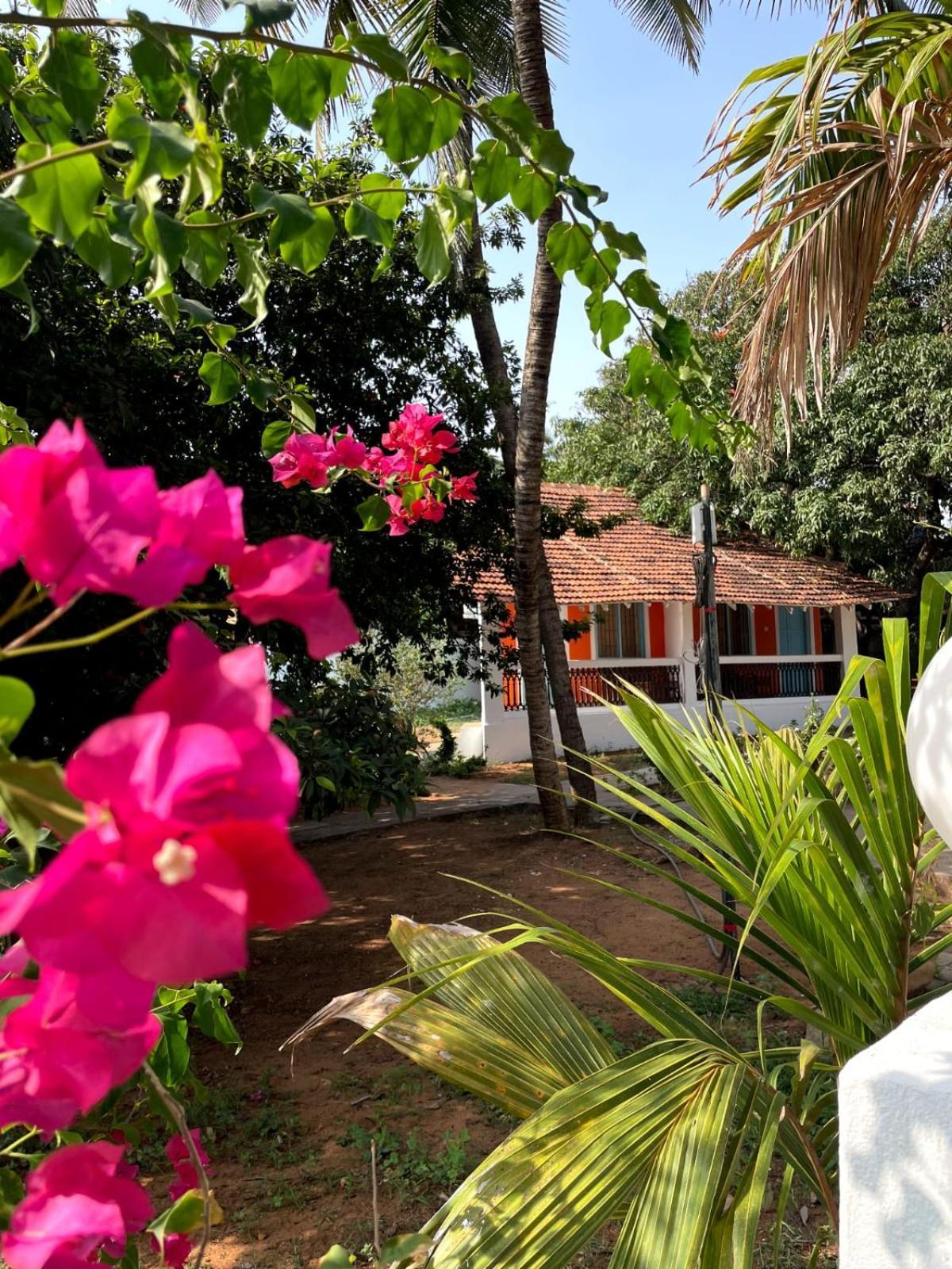 Papilio Beach Front Cottages-Tbv Бага Экстерьер фото